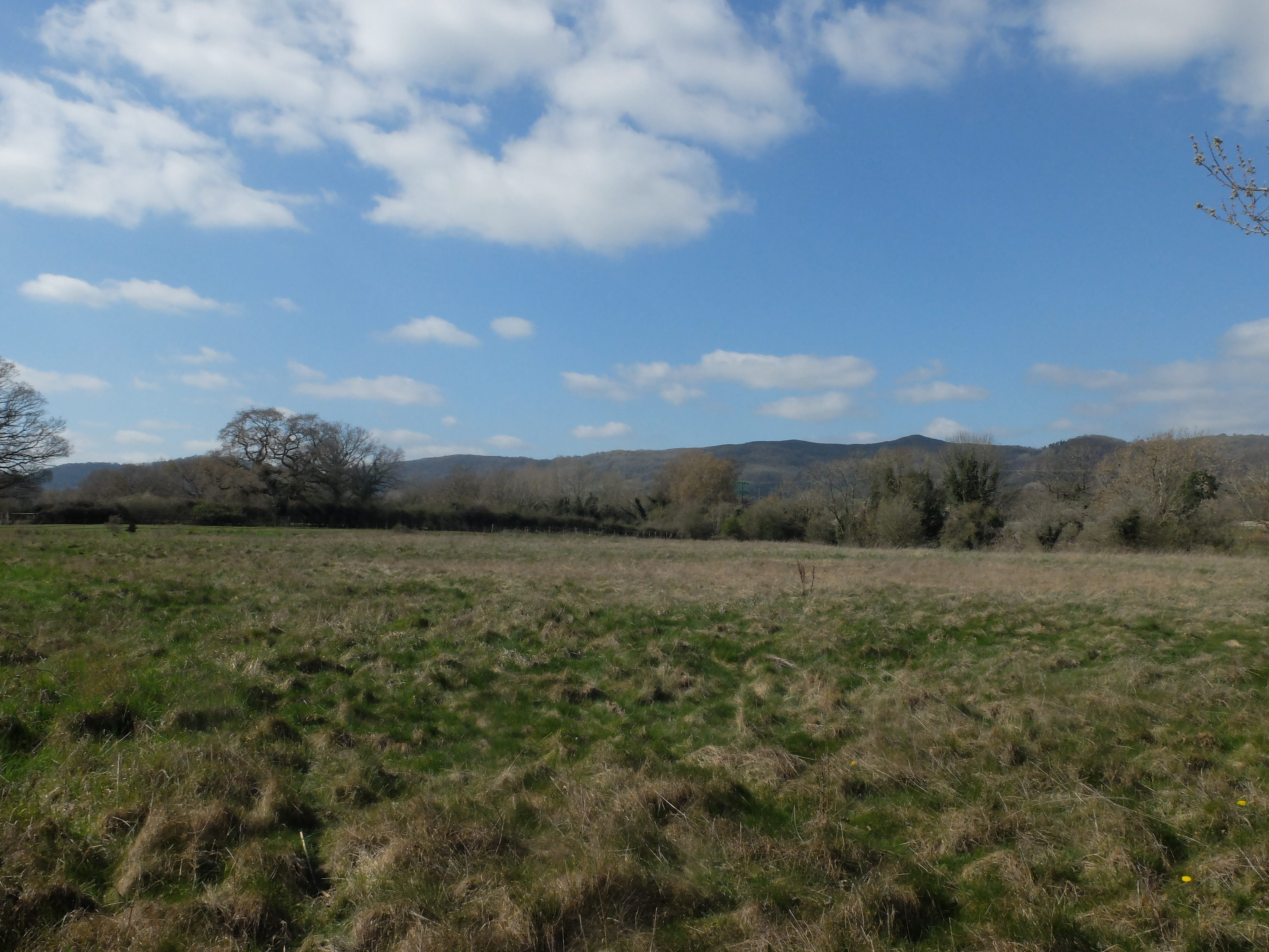 Land To The Rear Of The Laurels