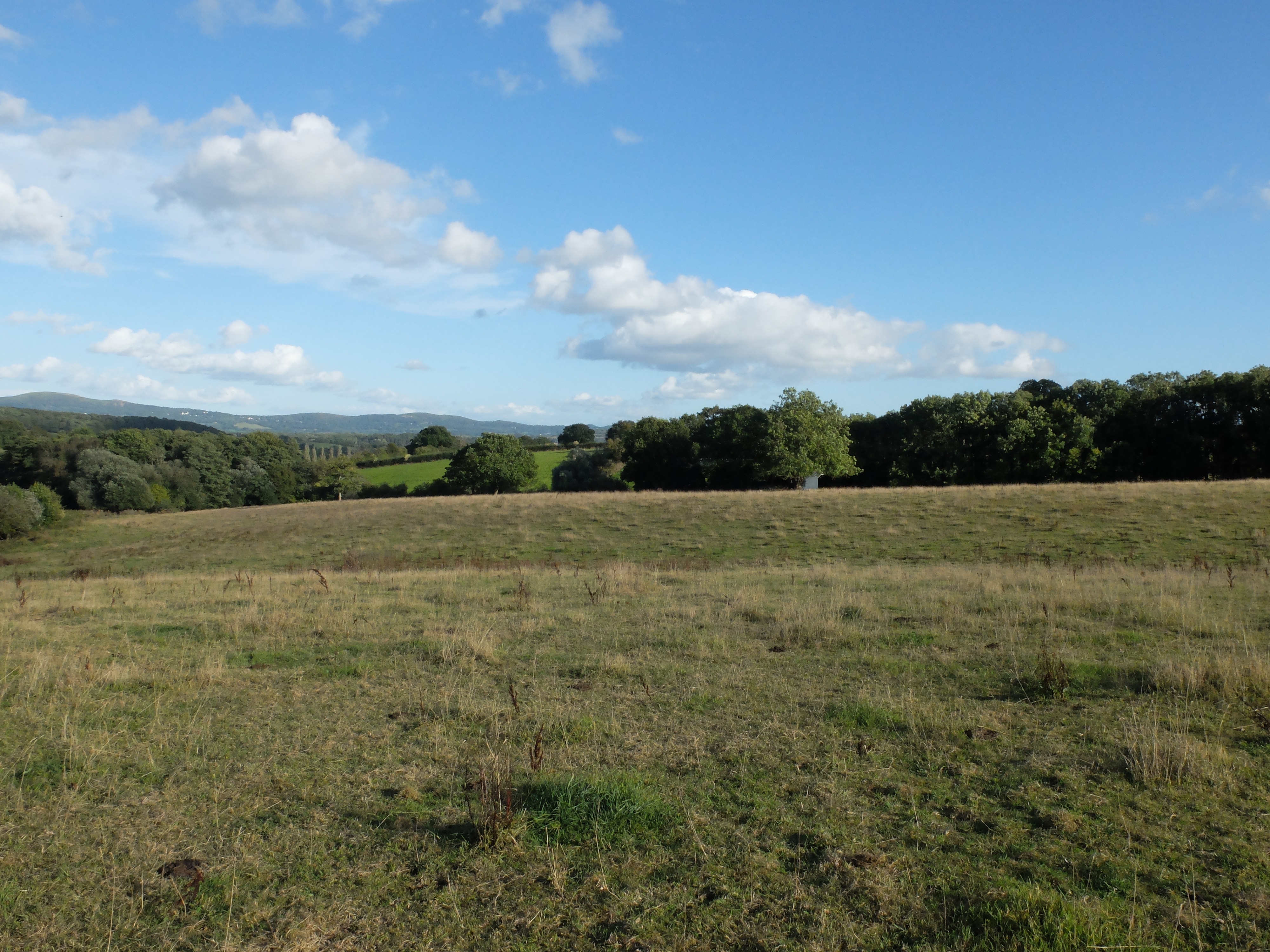 Land At Castle Frome, Near Ledbury, HR8 1HJ