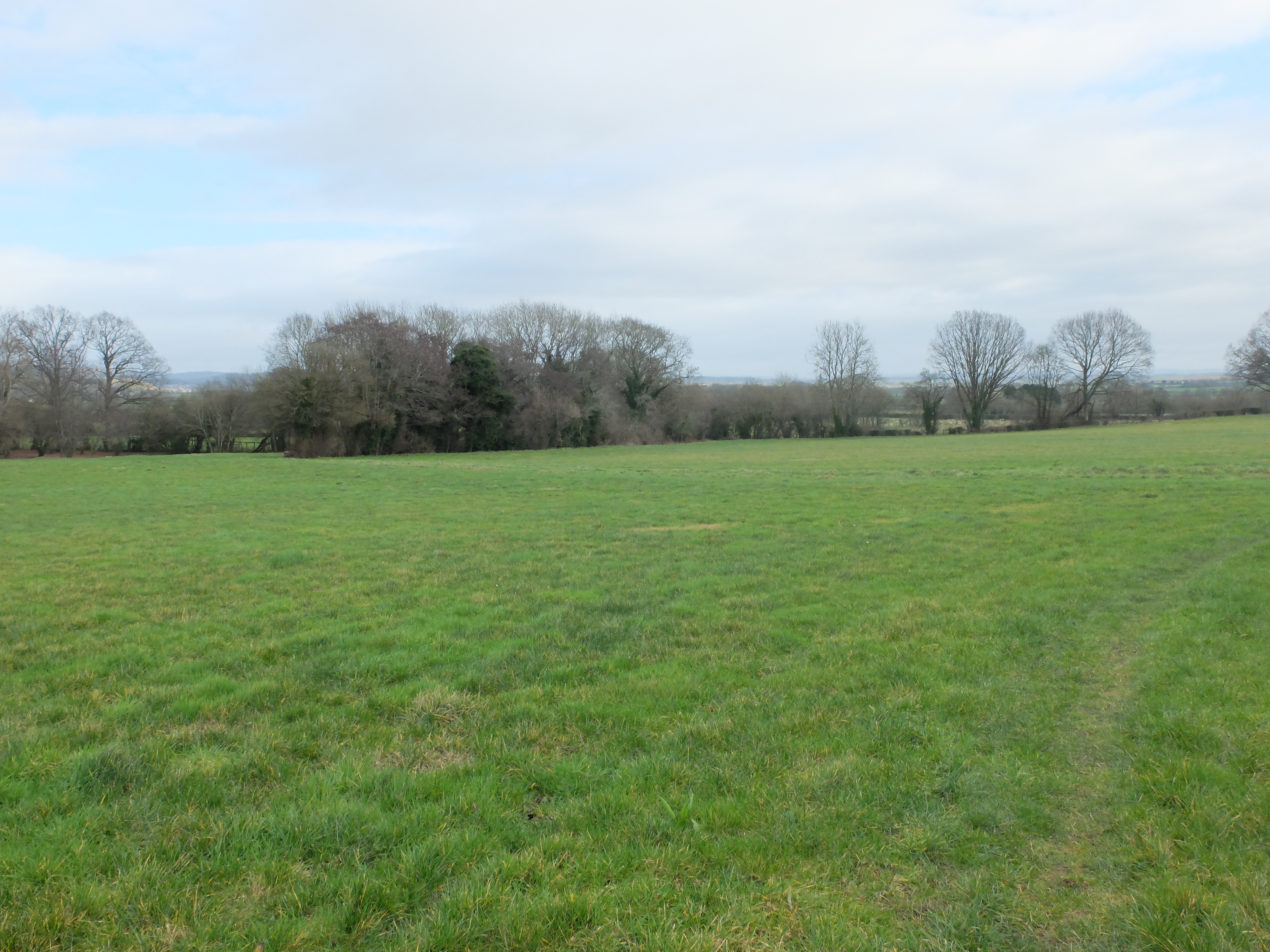Land At Putley, Ledbury, Herefordshire, HR8 2QR