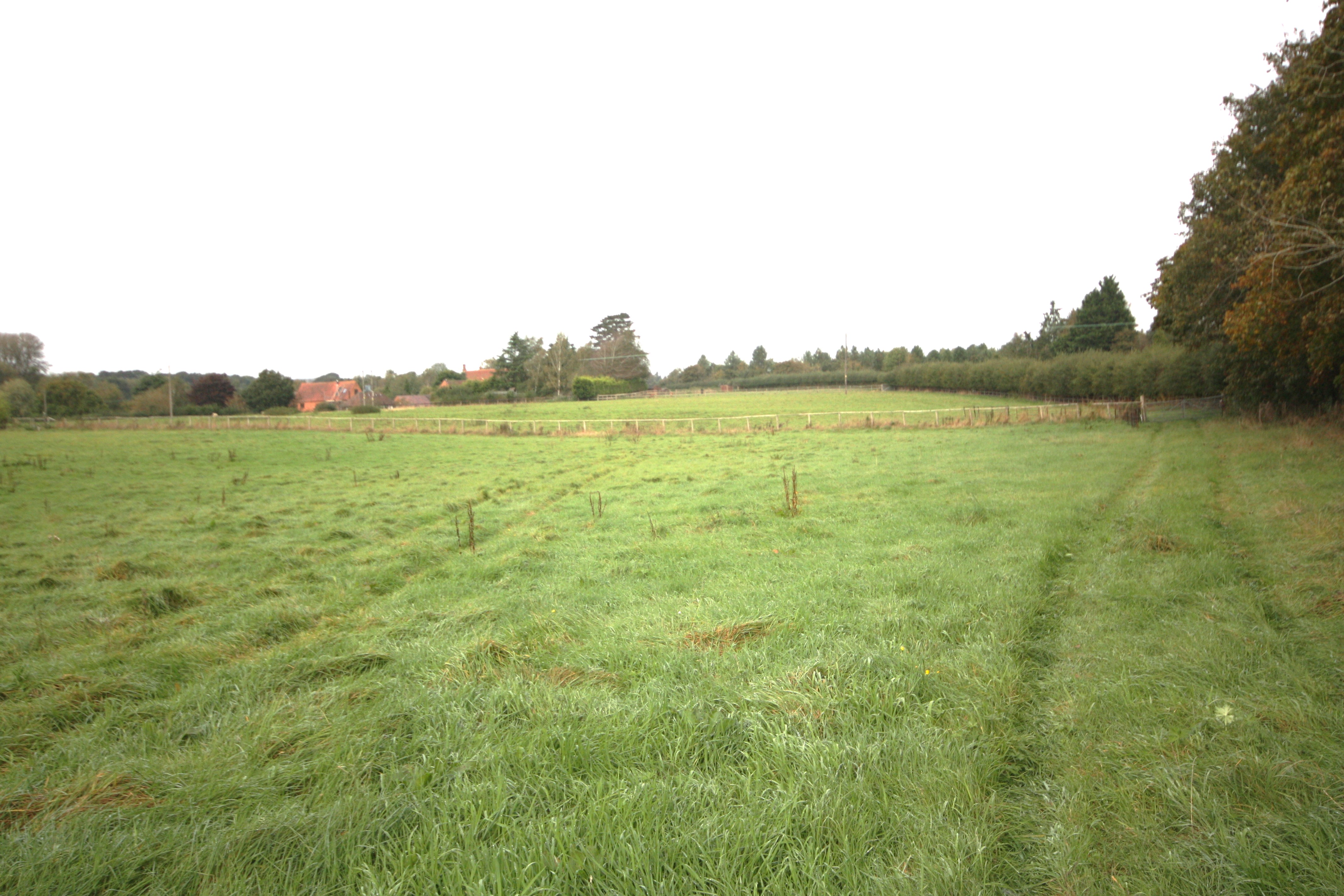 Pasture Land Adjacent to Naunton Farm, Holt Heath