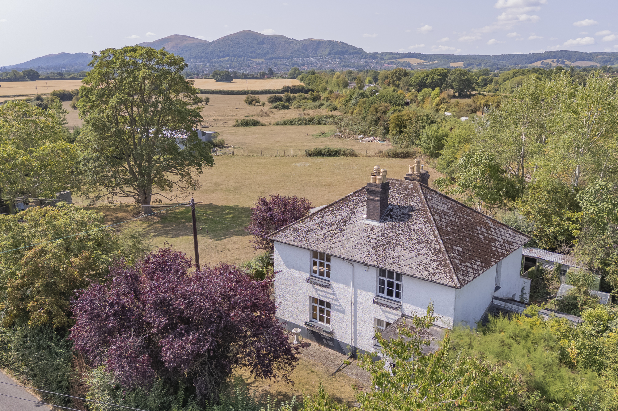 The White House Newland